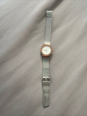 Skagen Silver Mesh Watch with Rose Gold Case and White Dial